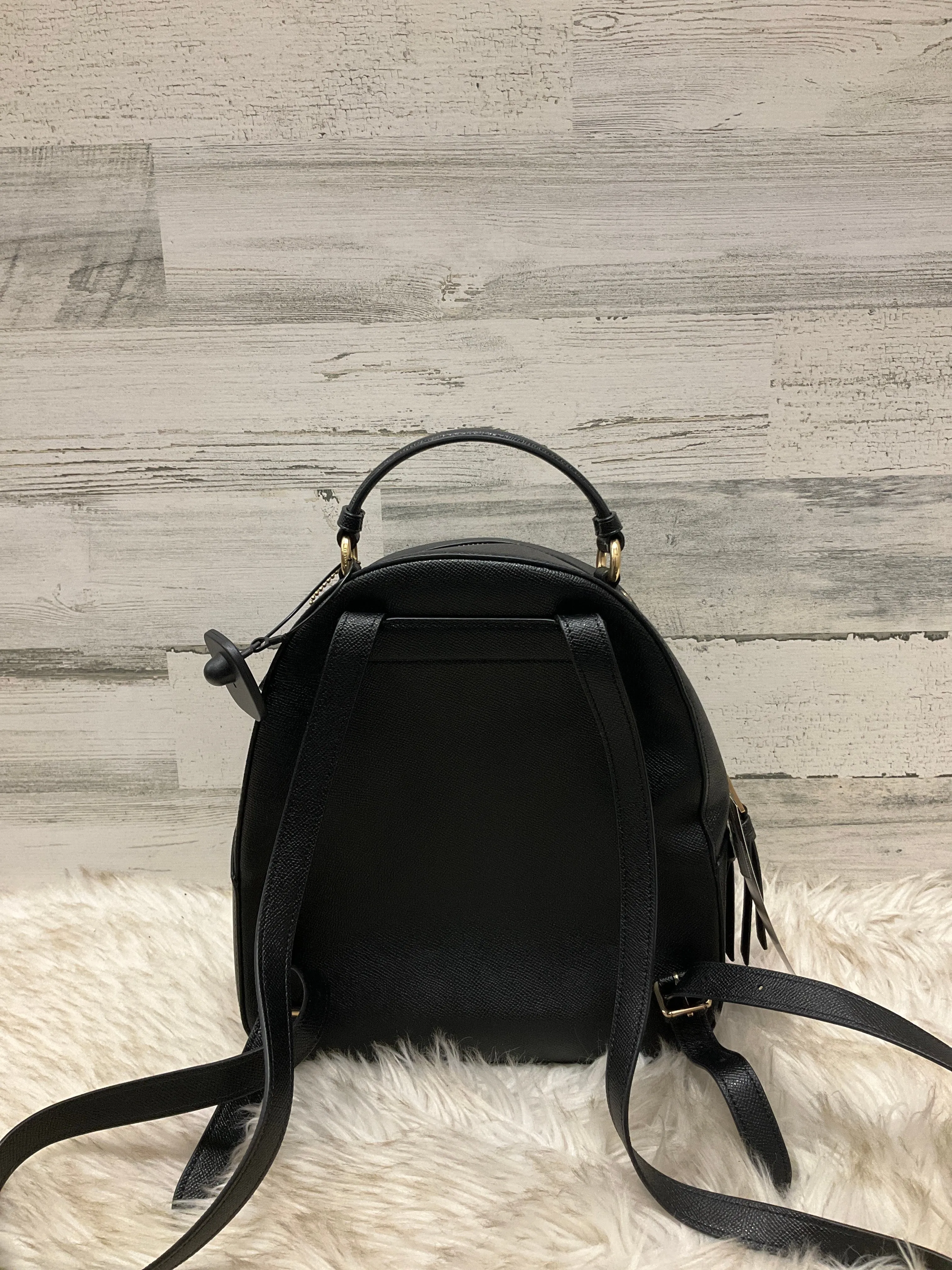 Backpack Designer By Coach  Size: Medium