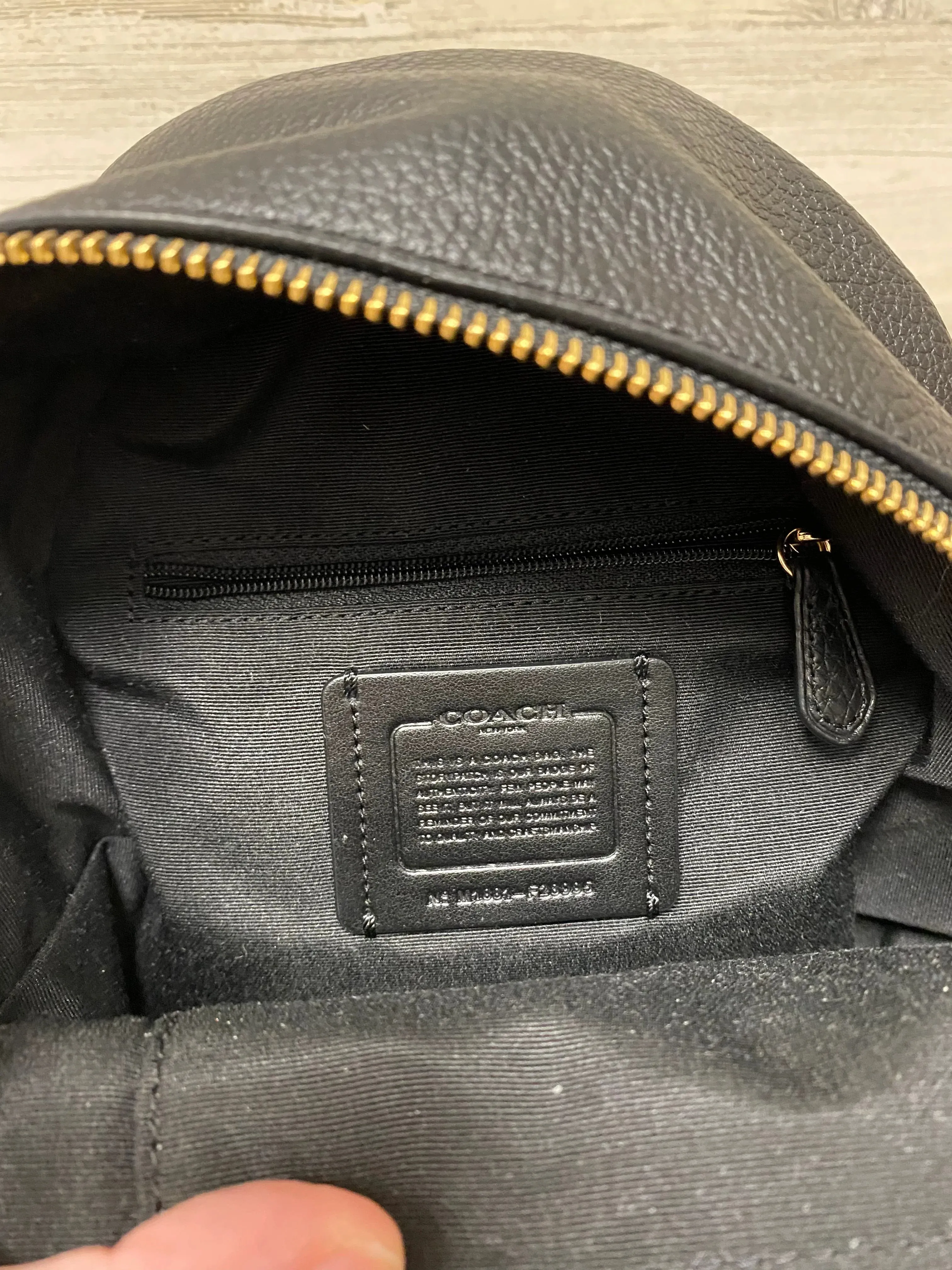 Backpack Designer By Coach  Size: Small