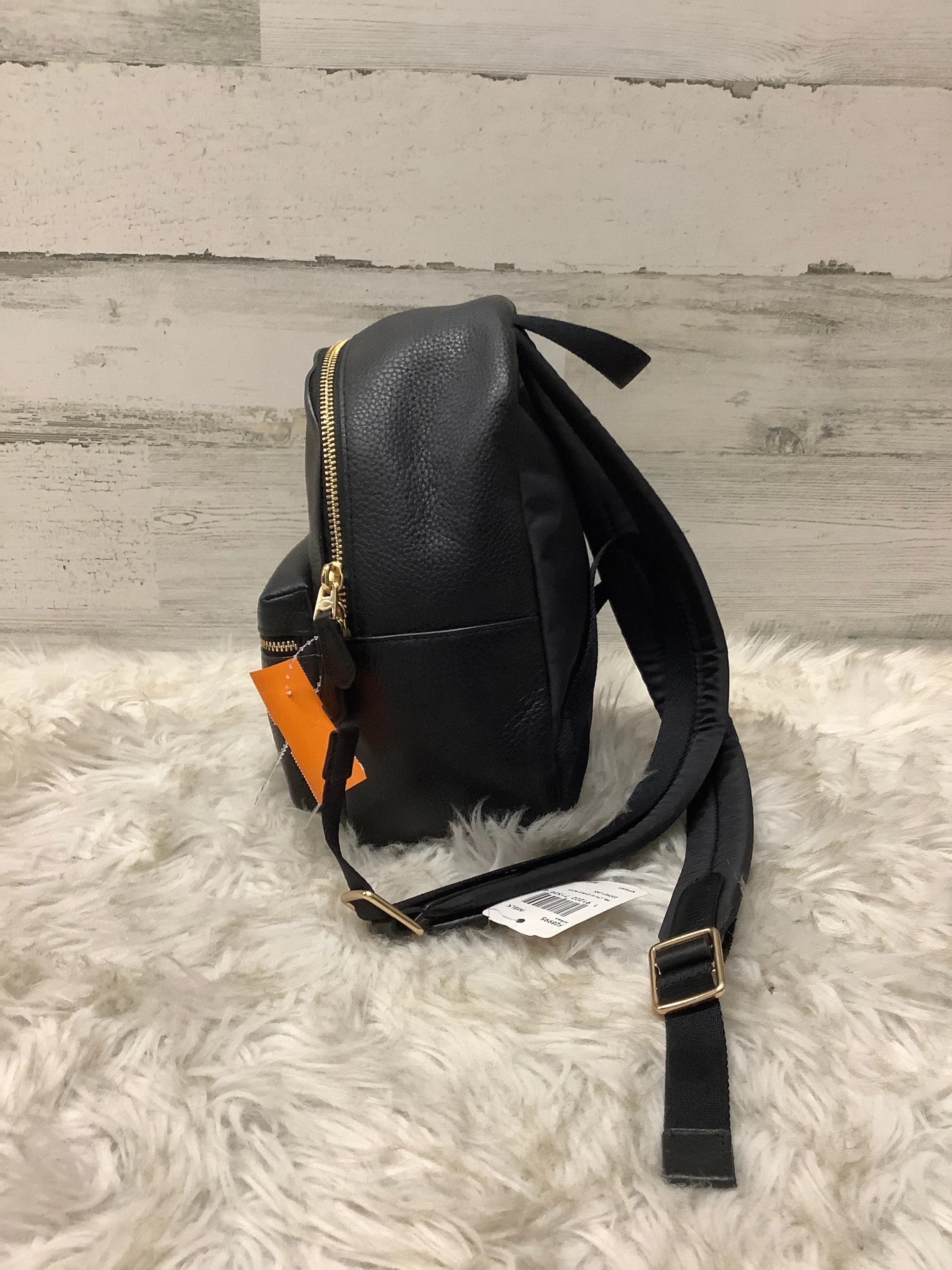 Backpack Designer By Coach  Size: Small