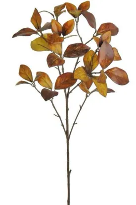 Brown foliage leaf spray